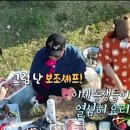 팜유통