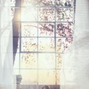 유리아 이미지