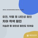 차신감 이미지