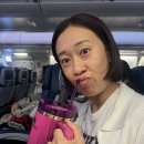 아이언렌트카 | 쀼의 하와이 신혼여행_호놀룰루-&gt;코나 국내선 1시간만에 환승하기(누락된 수하물,허츠 렌트카,에어비엔비)