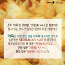 스토리쿡 이미지