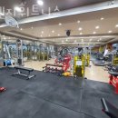 오렌지휘트니스 이미지