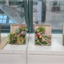 꽃과 식물로 정원가꾸기 이미지