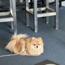 늘채움공인중개사사무소 | [대전 봉명동] 윅스커피(wickscoffee)