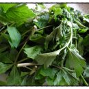 곤이 농장 이미지