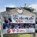 마당발 | 이효리도 선택한 경주 불국사근처맛집 [마당발쭈꾸미 경주본점 솔직후기]가격, 맛, 주차