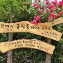 꿀벌아 고마워 공인중개사사무소 Daum카페