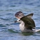 구암남 1길 이미지