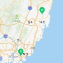 호계로약국 이미지