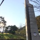 페티즈(petis) 이미지