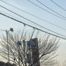 돌집민물장어 | 울산 장어 민물장어 맛집 돌집민물장어 예약