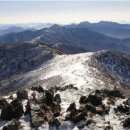 무릉도원면-50 이미지