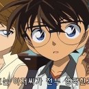 홍장미 이미지