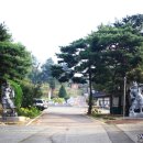 금강수도사 네이버블로그