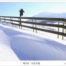 백야 이미지