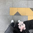 큐사랑반지 | 댄스천재 김원필 솔콘 언필터드 막콘후기(필사맥이 되..)