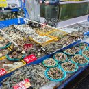 풍물 | 강릉 여행 필수 코스: 주문진 좌판 풍물시장 해산물 총정리·가격후기