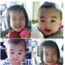 인준농장 이미지