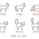 AVC 동물메디컬센터 이미지