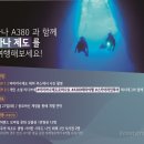 스카이라인투어 이미지