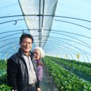 햇살농장 이미지