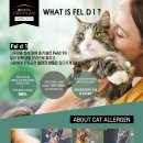 퓨리나동물병원 이미지