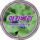 퀴아리
