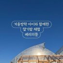 베리의모험