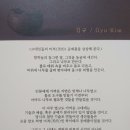 갤러리단디