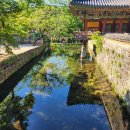 경찰가수 송준, 내인생에 최고의 여행, 봉화 소천고등학교 제1회 동창생과 함께한 수학여행지 재 답사 ~(2026,05.10 순천송광사) 이미지
