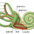 100세 보청기 이미지