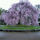 우리들의 사랑 이미지