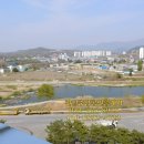 관설중앙공인중개사사무소 이미지