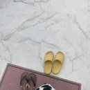 이드네일