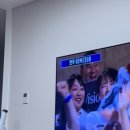 도파민 터지는 5월
