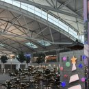 124 | 아시아나 OZ124 인천 나고야 저녁 기내식 후기 | 구운 닭다리살과 미소 크림 소스