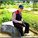 중앙초교 이미지