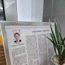 순천여행 - 화월당과자점 볼카스테라, 광양기정떡 방울기정 맛집 크리스마스, 명절 예약 (예약꿀팁...