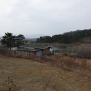 황정리 과수원 이미지