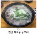 금모래국밥 | 천안 백석동 24시간 국밥 맛집 금모래국밥n번째 방문 후기(주차장 넓음)