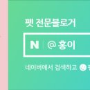 애드캣츠 이미지