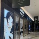 라이트무브 | 메시카 - 무브 우노 골드 링 한달 데일리 착용 간단후기