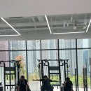 무포스 PT FT 이미지