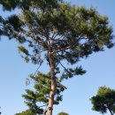 고향수산 이미지