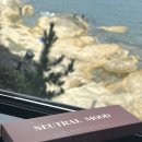 데일리 렌즈 추천 [위그렌즈 시그니처 렌즈 뉴트럴무드] 착용후기 '무극안경 위드렌즈 영남대점'