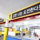 용인대 화랑 태권도 이미지