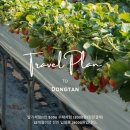 JI농장 | 수원 망포 딸기체험 후기 │ 아이와 가볼만한곳 달콤 딸기농장 딸기수확 체험