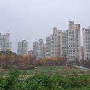 삼봉1교 이미지