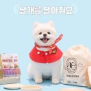 건강하개 이미지