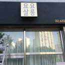 요요살롱